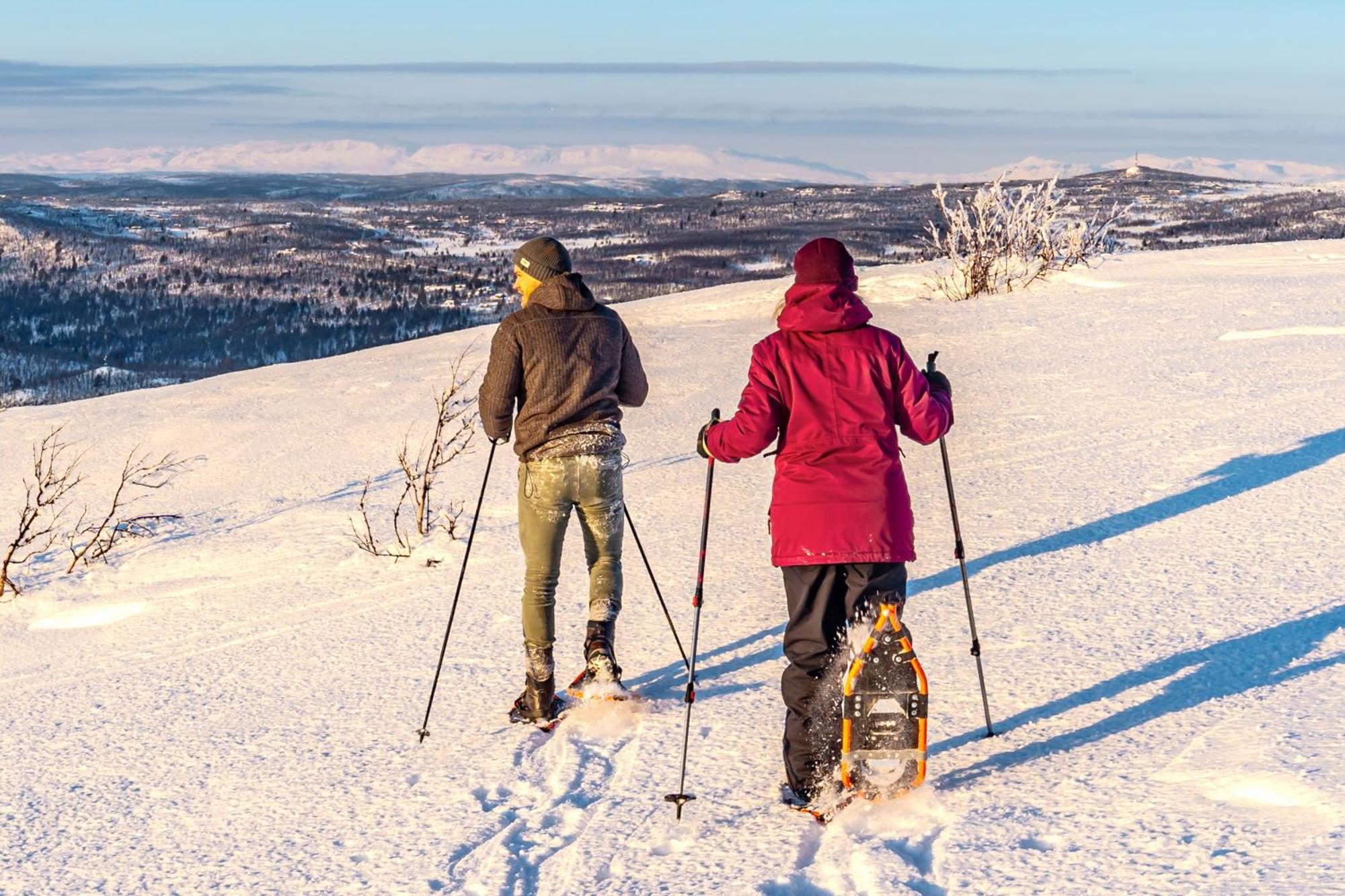 Active Adventure Base - Apartment & Lavvo, Dagali Fjellpark المظهر الخارجي الصورة